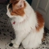 Mia sakin bir güzellik fotoğraf