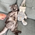 GÜZEL KIZIMIZA ÖMÜRLÜK YUVA ARIYORUZ fotoğraf