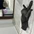 Kedimizi sahiplendirmek istiyoruz fotoğraf