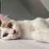 Latte Severleri Buraya Alalım fotoğraf