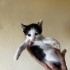 Minik sevimli oğlan yuva arıyor fotoğraf