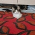 Alan bir almayan bin pişman fotoğraf