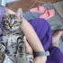 🦁 2 Aylık Minik ASLAN Kucağınızda Büyüsün 🐾 fotoğraf