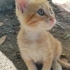 Güzelliği ile büyülüyor fotoğraf