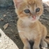 Güzelliği ile büyülüyor fotoğraf