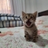Güvenli, sevgi dolu ve onun ihtiyaçlarını karşılayabilecek bir aile. fotoğraf
