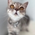 AÇIKLAMAYI OKUYUNUZ LÜTFEN fotoğraf