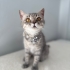 AÇIKLAMAYI OKUYUNUZ LÜTFEN fotoğraf