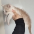 ACİL :( Gözleri bulanık görüyor fotoğraf