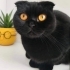Miyu yuva arıyor fotoğraf