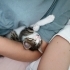 Bir tatlı Lokum meselesi fotoğraf