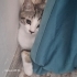 Güvenli, kalıcı yuvamı arıyorum fotoğraf