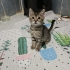 Birbirlerine Sığınan Yolcu Ve Miu’nun Hikayeleri fotoğraf