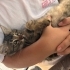 🐾 BU GÜZEL ÇOCUĞA SICACIK BİR YUVA ARIYORUZ 🐾 fotoğraf