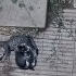 Bahçede sağlıkla tertemiz bakılıyor bir eve bir dışarı fotoğraf
