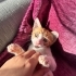 🧡Aziz Yuvasını Arıyor🧡 fotoğraf