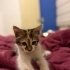 Yuva olmak ister misiniz fotoğraf