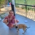 ACİL ÖMÜRLÜK YUVA! Germiyan / Çeşme - 4 Aylık Çok Sevecen Dişi Yavru (Kangal Kır fotoğraf