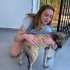 ACİL ÖMÜRLÜK YUVA! Germiyan / Çeşme - 4 Aylık Çok Sevecen Dişi Yavru (Kangal Kır fotoğraf