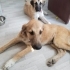 İki Şirin Kardeş fotoğraf