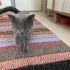 Sokağa terk edilmiş fotoğraf
