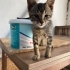 Göremiyor ama inanılmaz sevgi dolu fotoğraf
