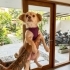 Minik Kızımız Yeni Ailesini Arıyor! fotoğraf