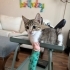 Güzel kızımıza ömürlük yuva fotoğraf