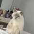 Güzel kızımıza ev arıyoruz fotoğraf