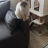 Güzel kızımıza ev arıyoruz fotoğraf