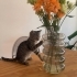 Minik Asil Tekir fotoğraf