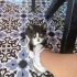 Dünya tatlısı bir bebek fotoğraf