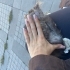 Sokaktan çaldım fotoğraf