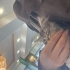 Sokaktan çaldım fotoğraf