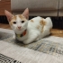 sevimli ve tatlıyız fotoğraf