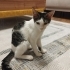 sevimli ve tatlıyız fotoğraf