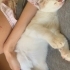 Kucakçı bebolar fotoğraf