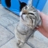 SICAK BİR YUVA ARAYAN MİNİK BİR BEBEK🥺 fotoğraf