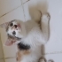 Guzel cindy ailesini ariyor fotoğraf