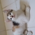 Guzel cindy ailesini ariyor fotoğraf