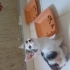 Guzel cindy ailesini ariyor fotoğraf