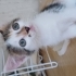 Guzel cindy ailesini ariyor fotoğraf