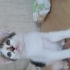 Guzel cindy ailesini ariyor fotoğraf