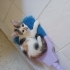 Guzel cindy ailesini ariyor fotoğraf