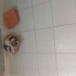 Guzel cindy ailesini ariyor fotoğraf