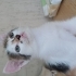 Guzel cindy ailesini ariyor fotoğraf