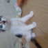 Guzel cindy ailesini ariyor fotoğraf