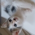 Guzel cindy ailesini ariyor fotoğraf