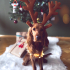 Zeze insan aşığı oynamayı seven bir köpek fotoğraf