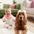 Zeze insan aşığı oynamayı seven bir köpek fotoğraf
